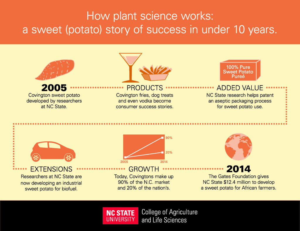 Sweet Potato Story_NC State CALS