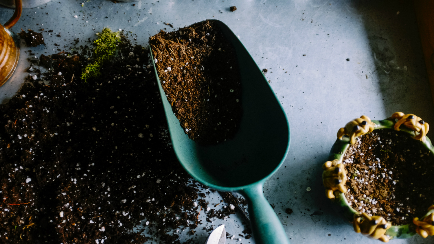 A blue garden trowel filled with soil is resting on a table