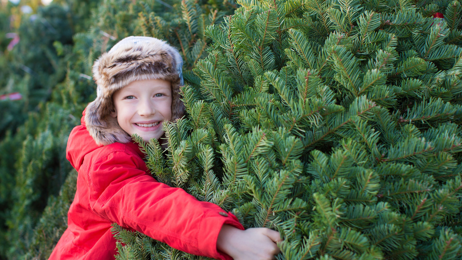 A young smiling boy in a red jacket is hugging a Christmas tree at a Christmas tree stand