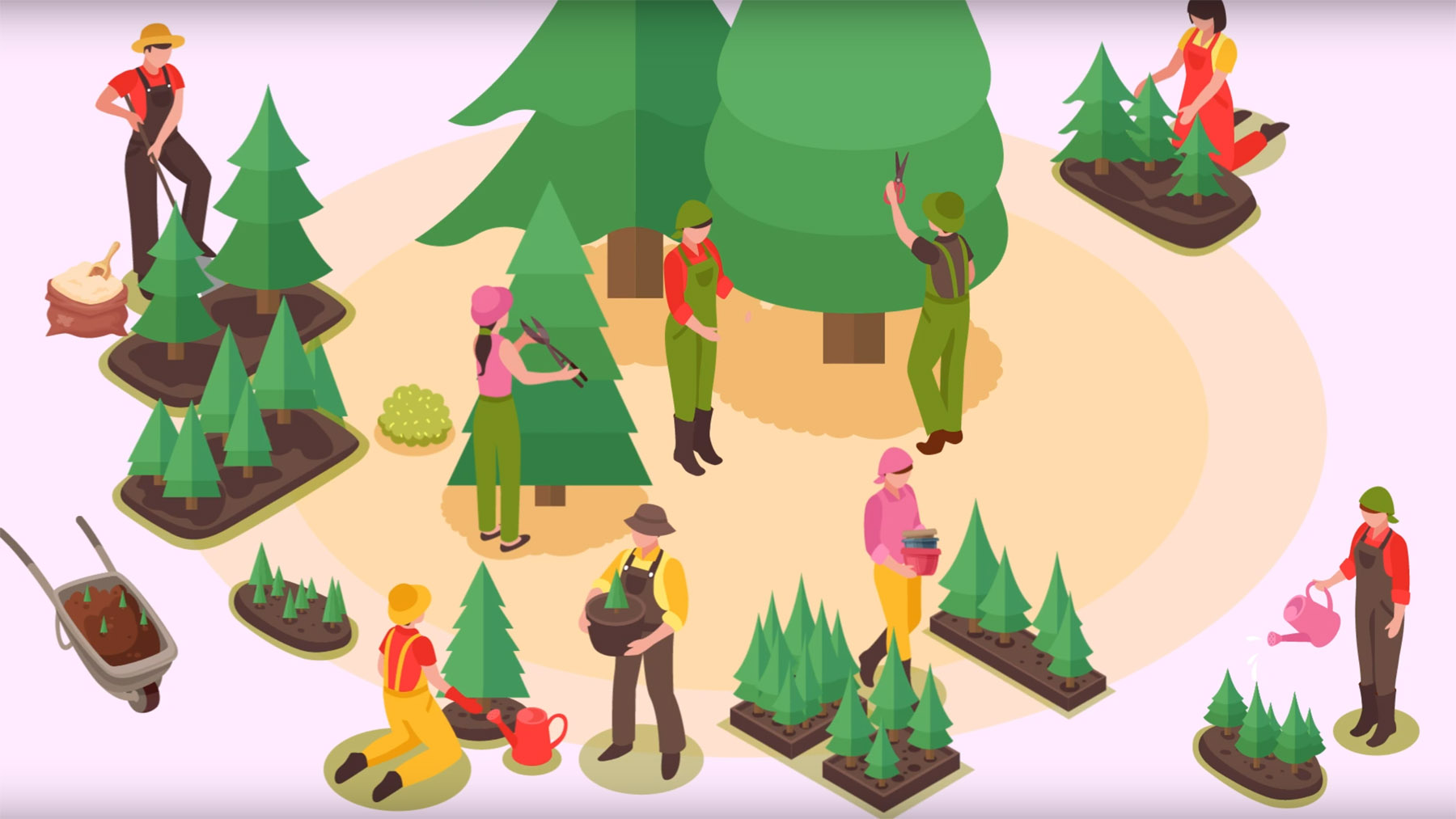 Animated graphic of various people performing tasks associated with Christmas trree production.